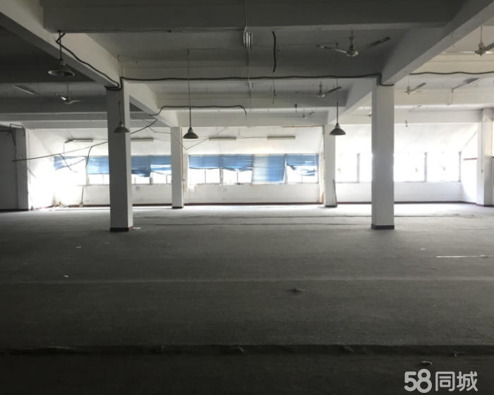 (出租) 青浦北青公路主干道旁 厂房出租 1300平双货梯-pic3