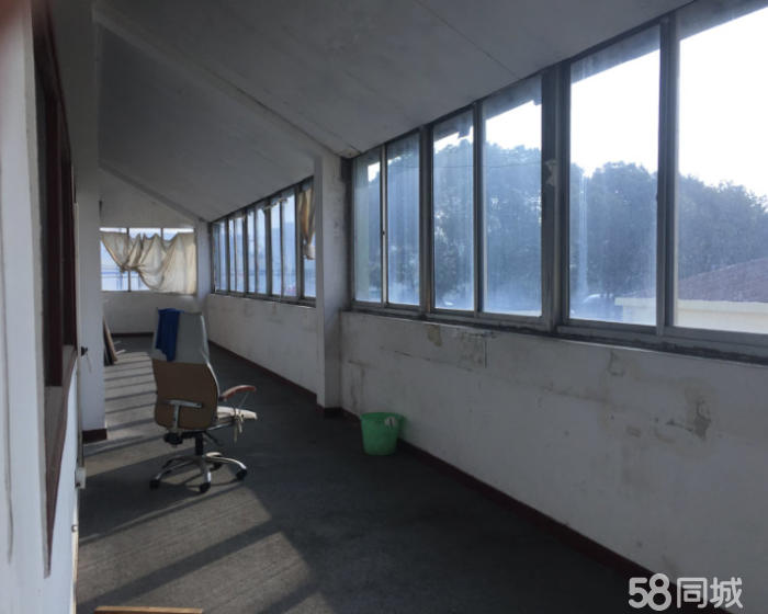 (出租) 青浦北青公路主干道旁 厂房出租 1300平双货梯-pic4