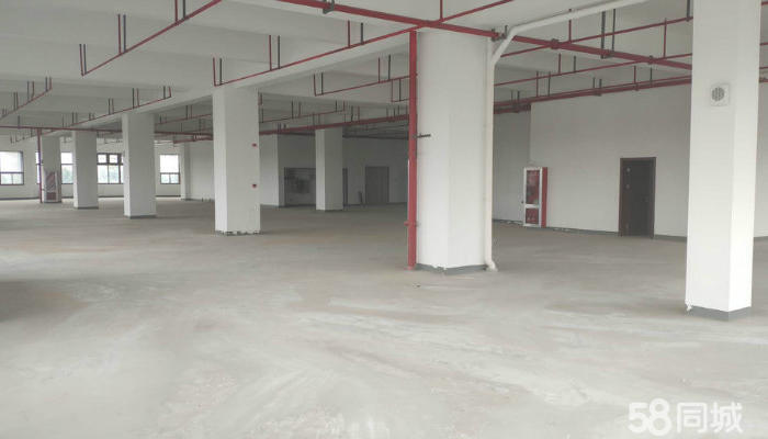 (出租) 104地块可环评，适合研发、试验、检测、生产、展示-pic2