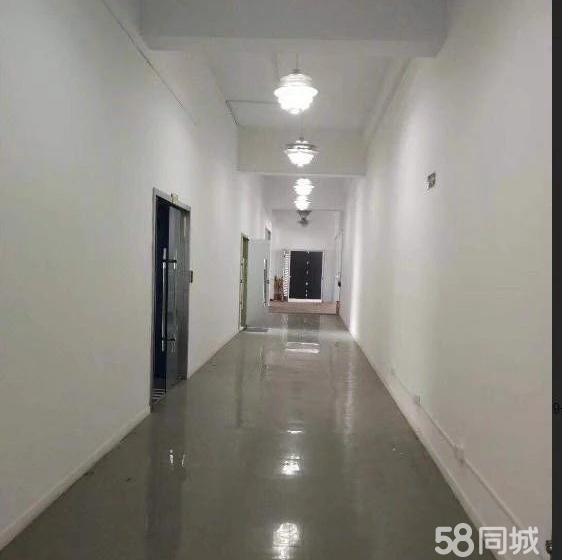 (出租) 九亭寅西路小面积124平米精装修厂房仓库出租-pic1