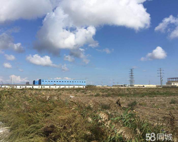 (出售) 盐城大丰区260亩工业用地出售，中介勿扰