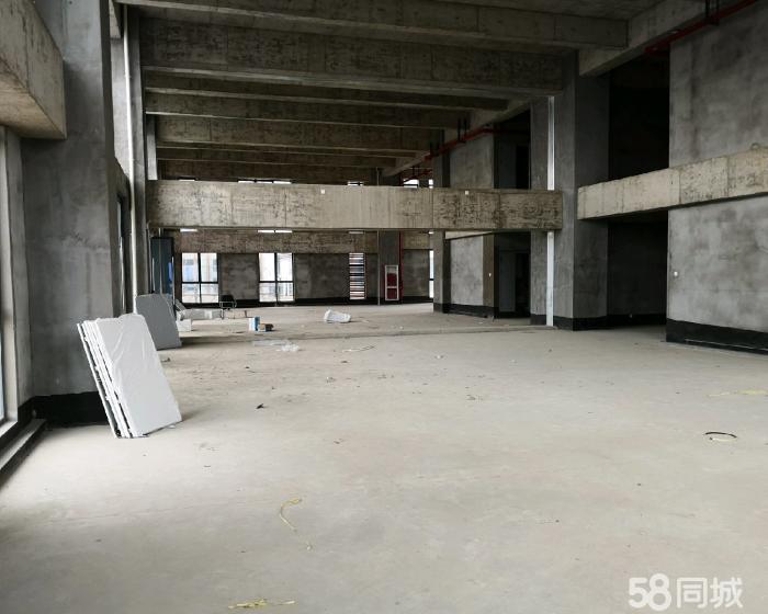 (出售) 浦星公路 仓库 2000平米-pic1