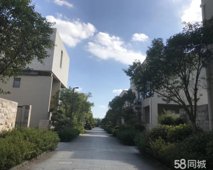 (出售) 惠南 上河商务园 浦东宣桥 仓库 638平米-pic1