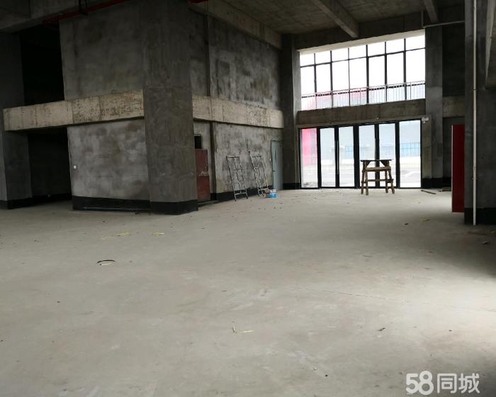 (出售) 浦星公路 仓库 2000平米-pic2