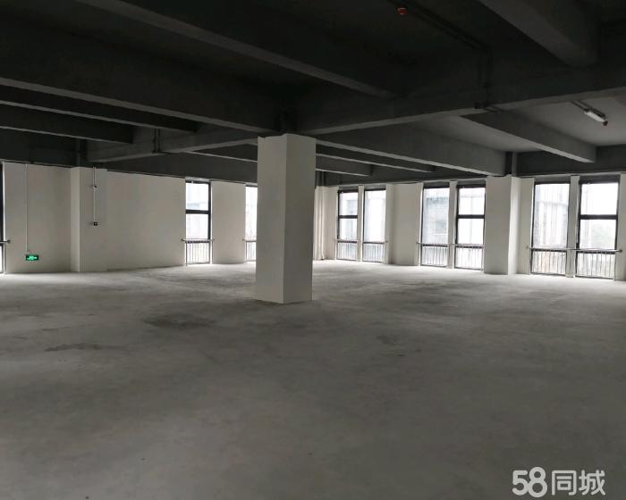 (出售) 浦星公路 仓库 2000平米-pic4