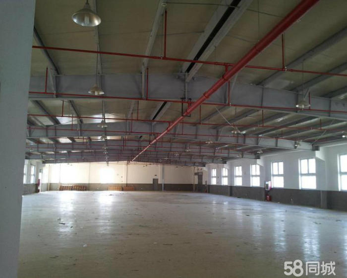 (出租) 80至1500浦东电商仓库一楼二楼快递优惠发全国-pic1