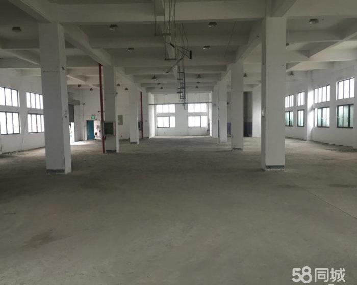 (出租) 松江万达附近小面积一楼仓库出租-pic4
