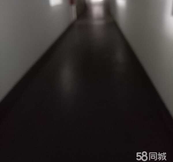 (出租) 方泰五金城二楼仓库，带2部三吨货梯，产证齐全可分割-pic4