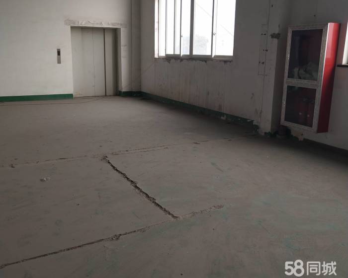 (出租) 二楼仓库单价低至0.55元(含票)价。实景图片-pic2