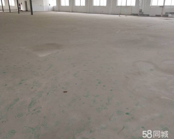 (出租) 二楼仓库单价低至0.55元(含票)价。实景图片-pic3