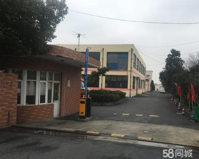 (出租) 独门独院+大房东没公摊+电商展厅+仓储大卖场-pic2