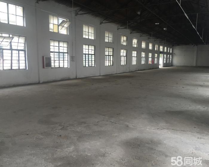 (出租) 独门独院+大房东没公摊+电商展厅+仓储大卖场-pic3