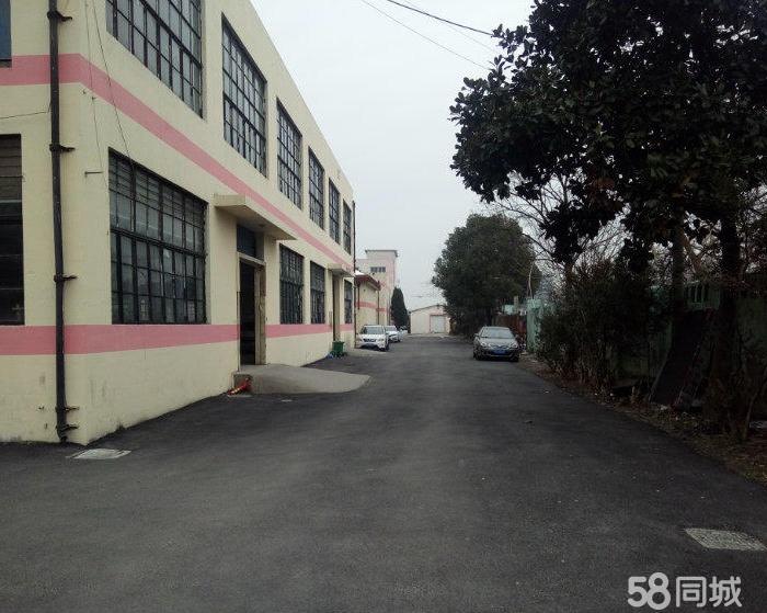 (出租) 独门独院+大房东没公摊+电商展厅+仓储大卖场-pic4
