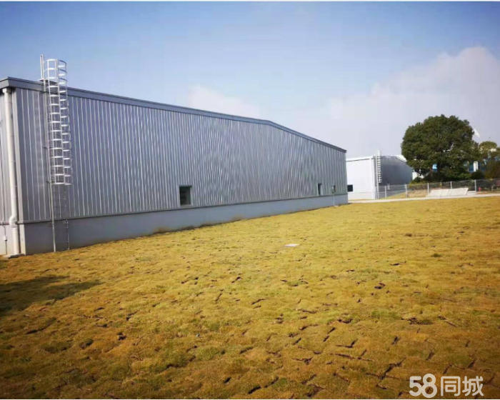 (出租) 独门独院，占地30亩14500平米仓库出租，丙二类-pic3