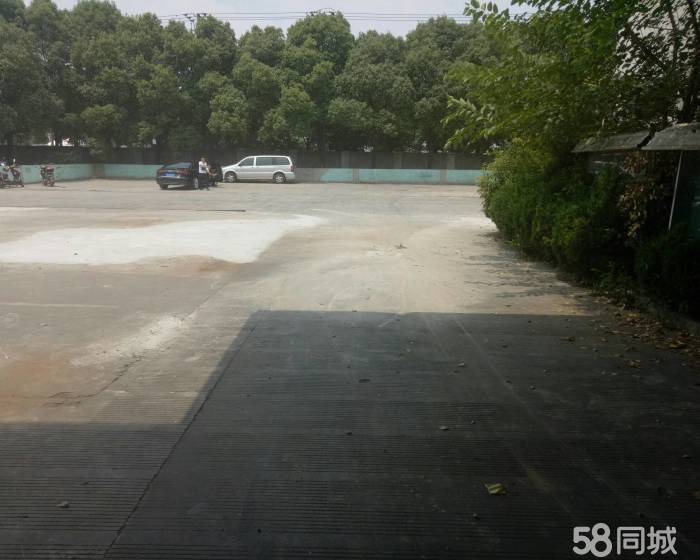 (出租) 南翔独门独院底楼仓库3000平，厂区空地大，可分割-pic3