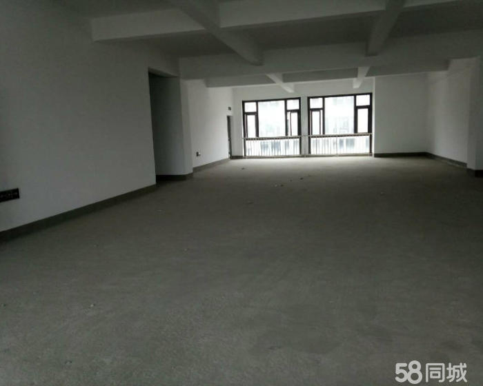 (出租) 华新600平仓库 无公摊 原房东 可住宿 交通便利-pic2