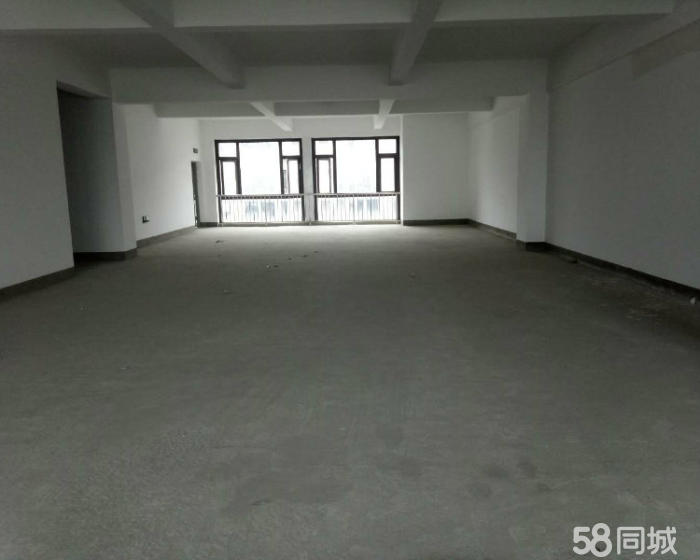 (出租) 华新600平仓库 无公摊 原房东 可住宿 交通便利-pic3