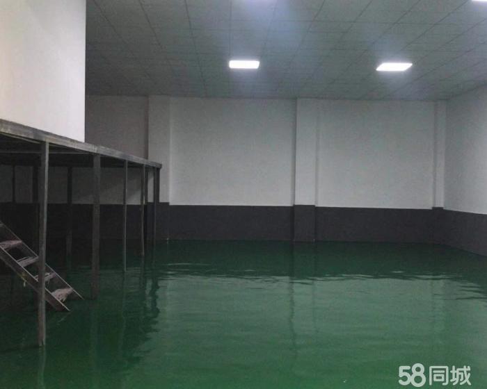 (出租) 曹联路仓储园区单层仓库200至900平米出租-pic1