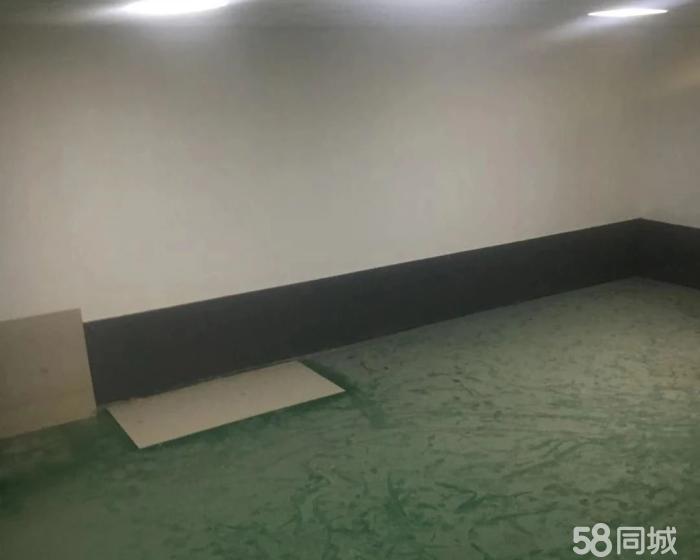 (出租) 曹联路仓储园区单层仓库200至900平米出租-pic2