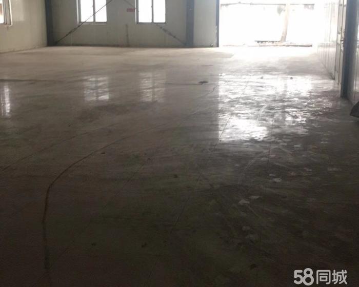 (出租) 曹联路仓储园区单层仓库200至900平米出租-pic3