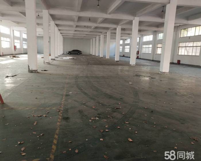 (出租) 虹梅高架附近300至500至 0至3000平-pic3