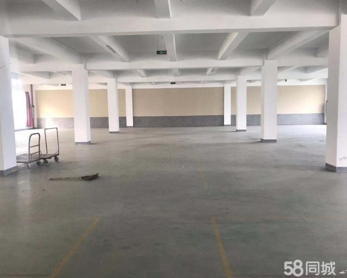 (出租) 徐泾500平厂房仓库 大小可分租 近高速 可长签-pic4
