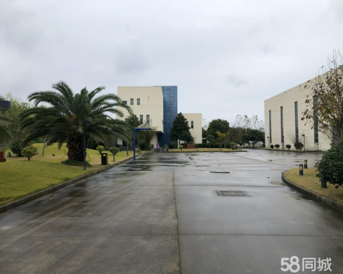 (出租) 祝桥工业园6000平单层仓库出租适合航空物流仓储-pic1