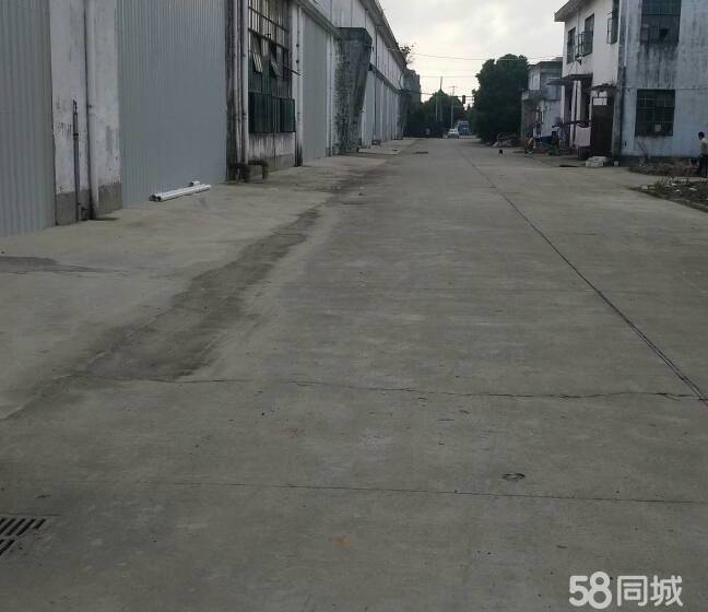 (出租) 春申路600起独门独院，面积3300平，交通便利-pic3