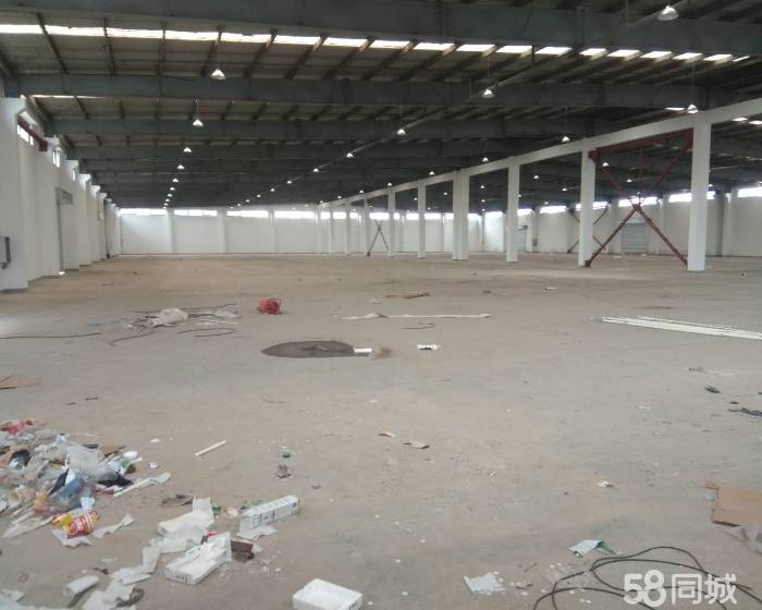 (出租) 大房东直租丙二类独栋单层仓库6000平-pic1