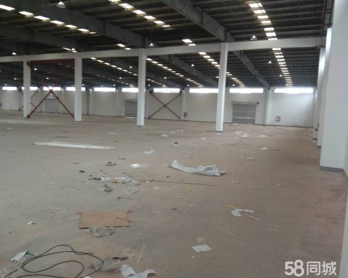 (出租) 大房东直租丙二类独栋单层仓库6000平-pic2