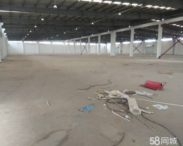 (出租) 大房东直租丙二类独栋单层仓库6000平-pic3