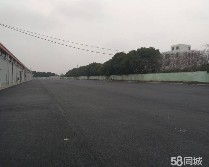 (出租) 大房东直租丙二类独栋单层仓库6000平-pic4
