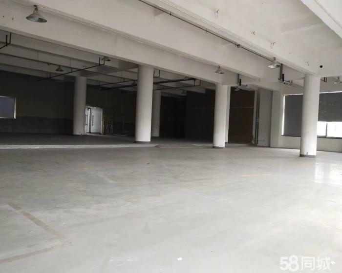 (出租) 闵行虹梅高架旁 、优惠促销 多面积仓库、办公出租-pic3