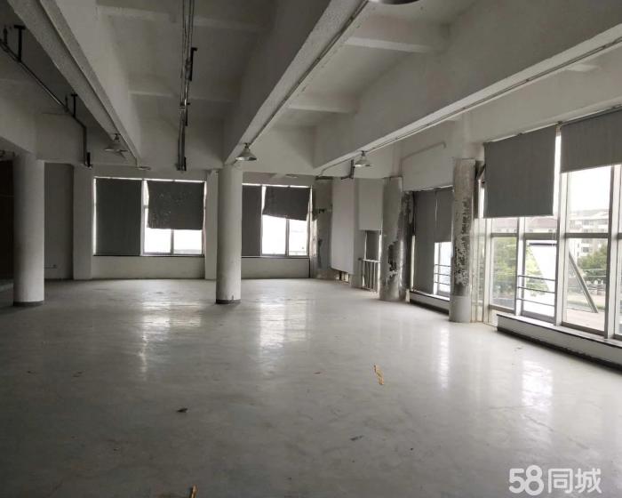 (出租) 闵行虹梅高架旁 、优惠促销 多面积仓库、办公出租-pic4