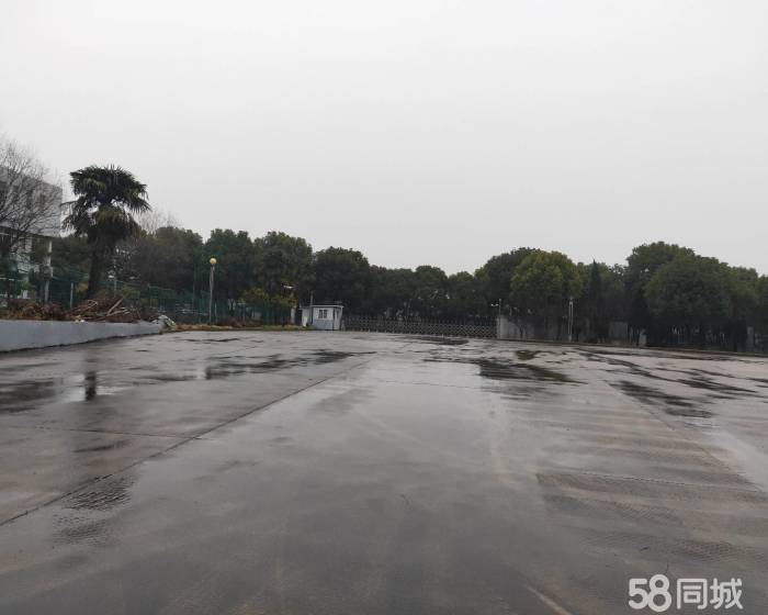 (出租) 南汇工业区单层3000平高平台仓库出租