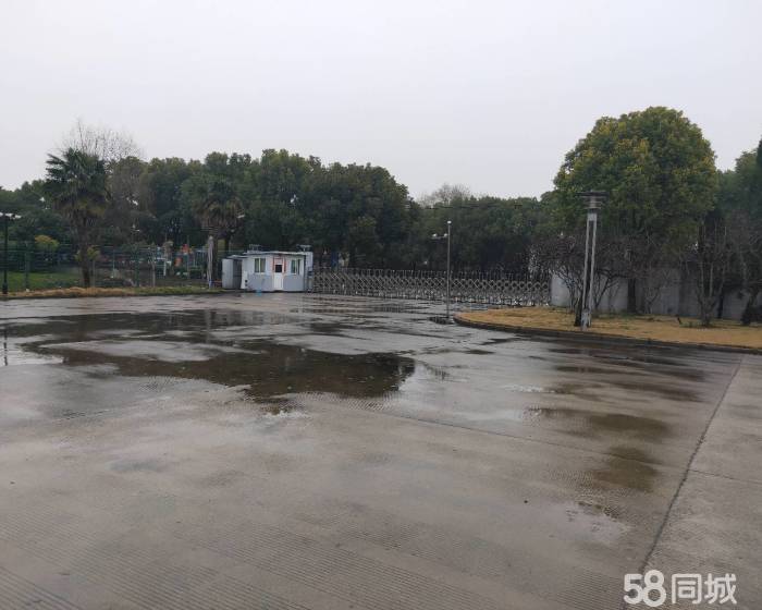 (出租) 南汇工业区单层3000平高平台仓库出租-pic4