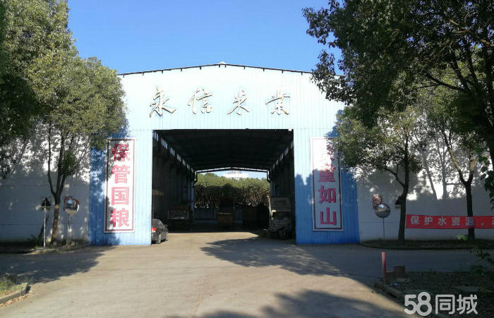 (出租) 南桥 大叶公路 原国家粮仓 大小可分 优惠出租-pic2