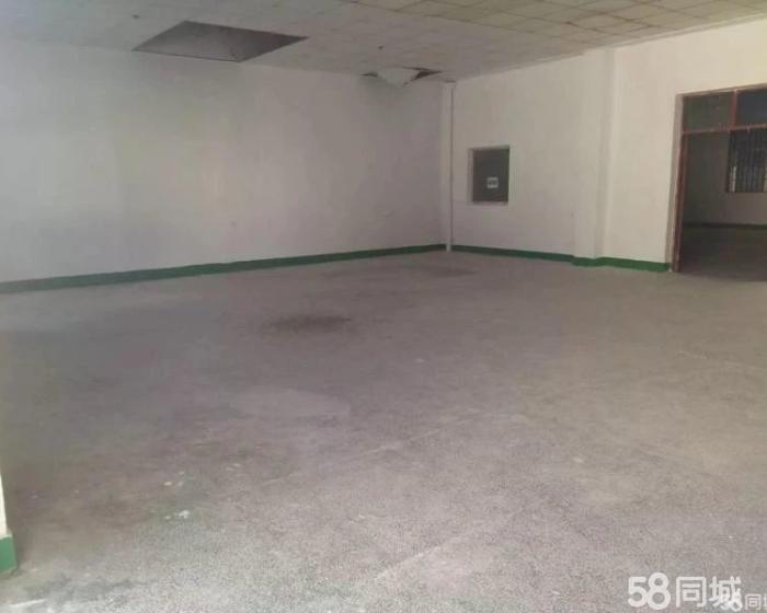 (出租) 华新270平 价格1元 可建冷库 仓库 果蔬配送-pic3