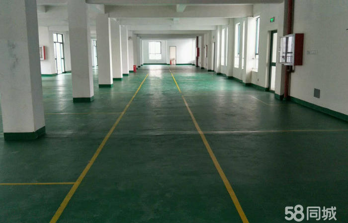 (出租) 浦东周浦自有仓库厂房出租非中介，有工位，精装办公室-pic1