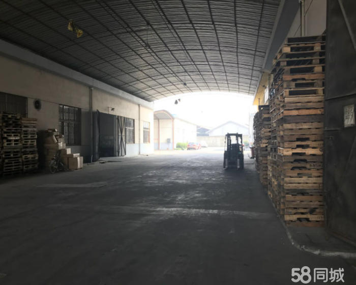 (出租) 华泾 春申路旁独栋单层仓库1800平米出租-pic4