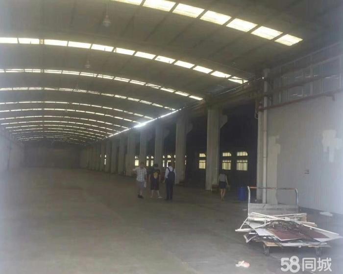 (出租) 周浦标准仓库出租，可分租-pic2