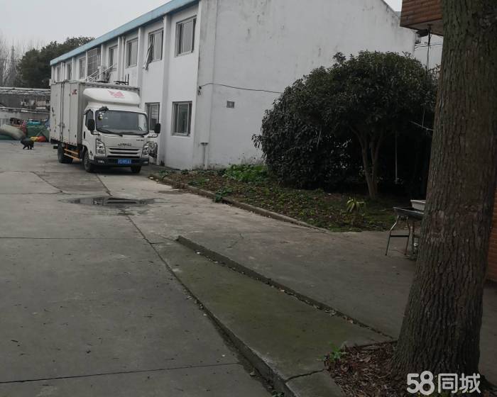 (出租) 川沙独门独院厂房出租好住人办公交通非常便利900平-pic1