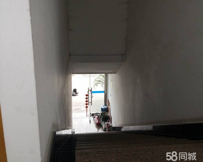 (出租) 川沙独门独院厂房出租好住人办公交通非常便利900平-pic2