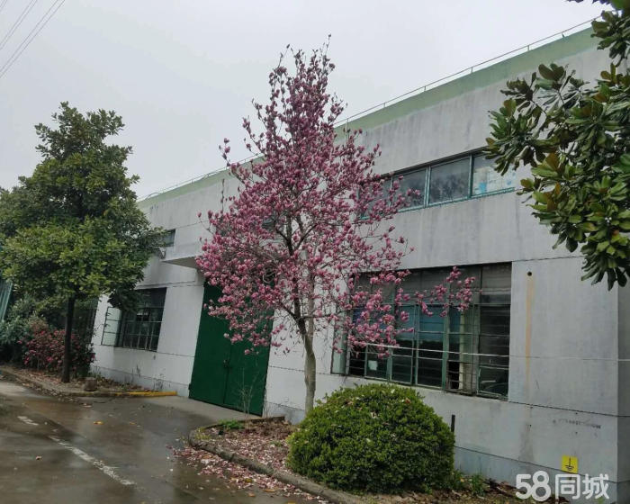 (出租) 北松公路昆阳路仓库六百平-pic1
