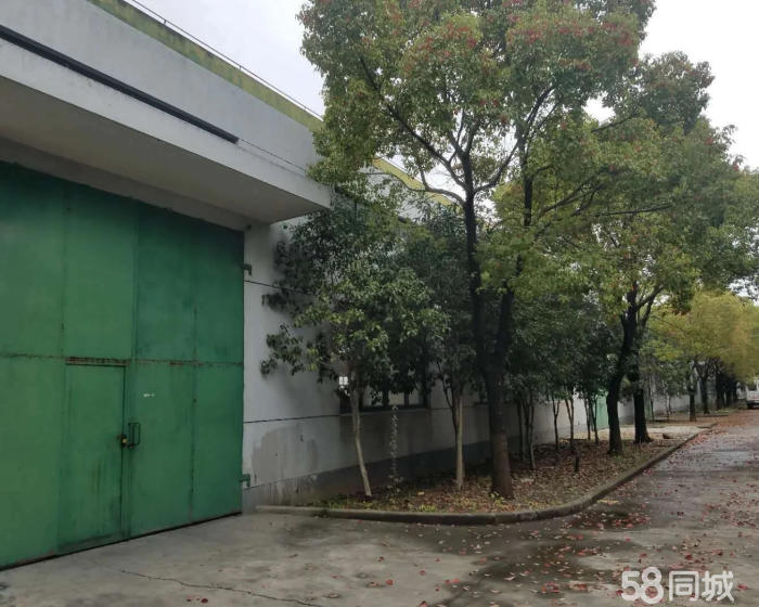 (出租) 北松公路昆阳路仓库六百平-pic3