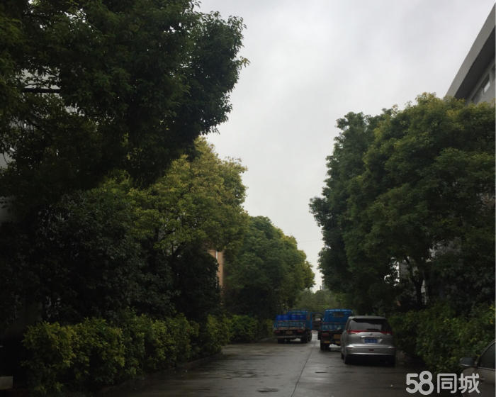 (出租) 三楼有货梯适合做仓库，明亮，欢迎洽谈。-pic3