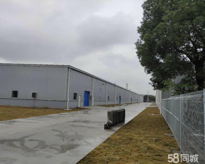 (出租) 闵行单层7米新建104仓库独门独院大车好进出可分割-pic2
