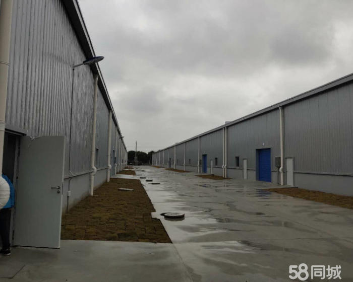 (出租) 闵行单层7米新建104仓库独门独院大车好进出可分割-pic3