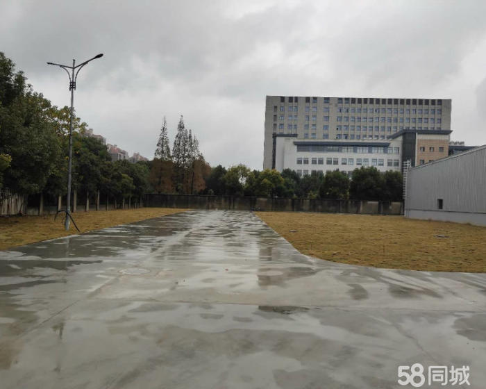 (出租) 闵行单层7米新建104仓库独门独院大车好进出可分割-pic4