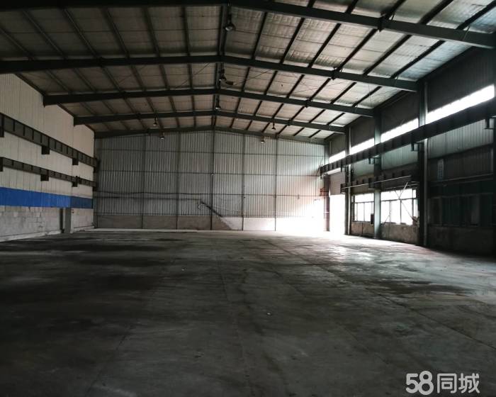 (出租) 安亭工业园区新出独门独院全单层标准厂房2500平方-pic4